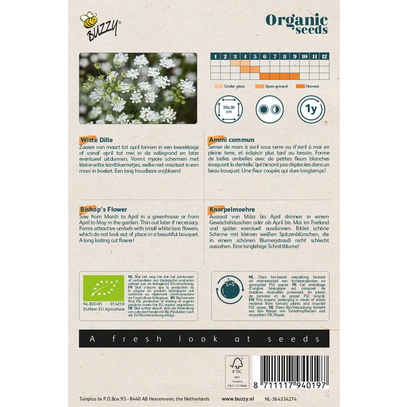 Semences bio - 94019_1 AMMI COMMUN - BUZZY Organic