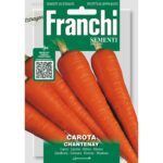 8012450426561 - DBO23-37 - Graines - Carotte Chantenay - Carota Chantenay - 9 gr - Franchi