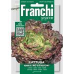 8012450701590 - DBO79-5 - Graines - Laitue - Lattuga Quattro Stagioni 8 gr - Franchi