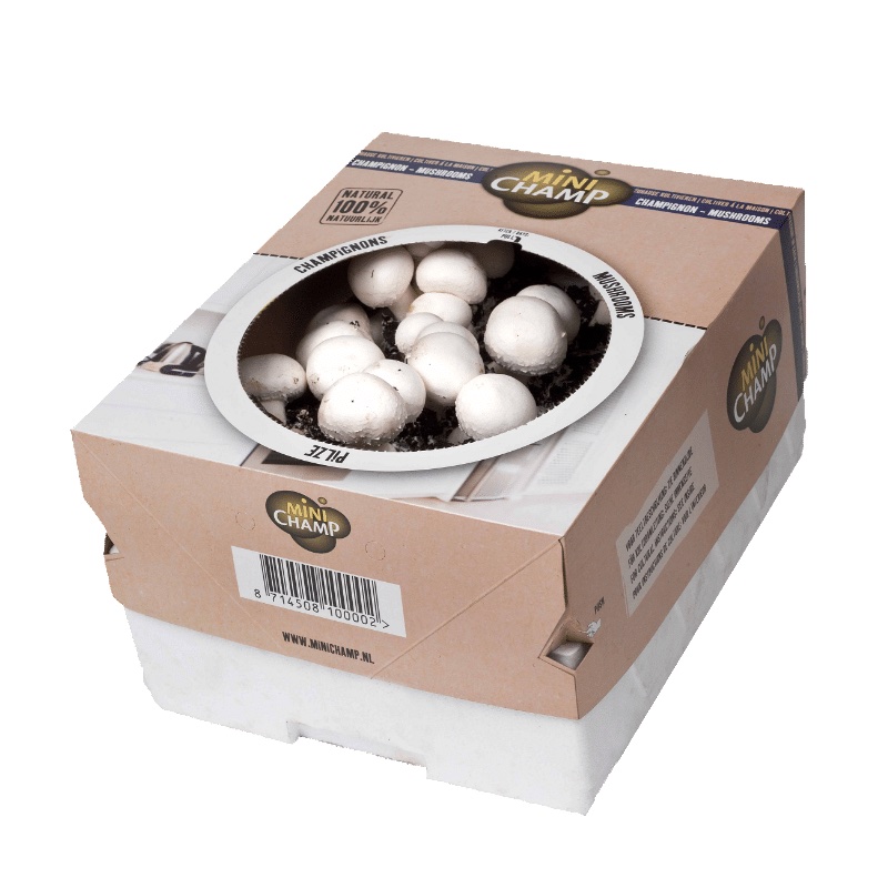 Culture de champignons – Paris blancs – Caisse de 7,5 litres – Minichamp