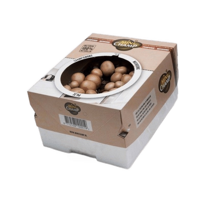 Culture de champignons – Paris bruns – Caisse de 7,5 litres – Minichamp
