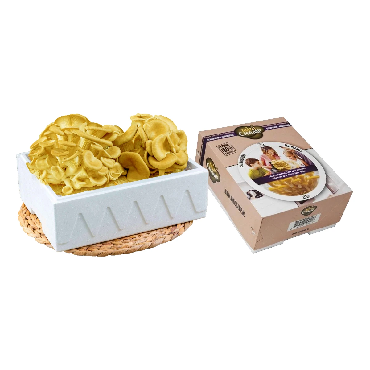 Kit de culture de pleurotes jaunes Mini Champ