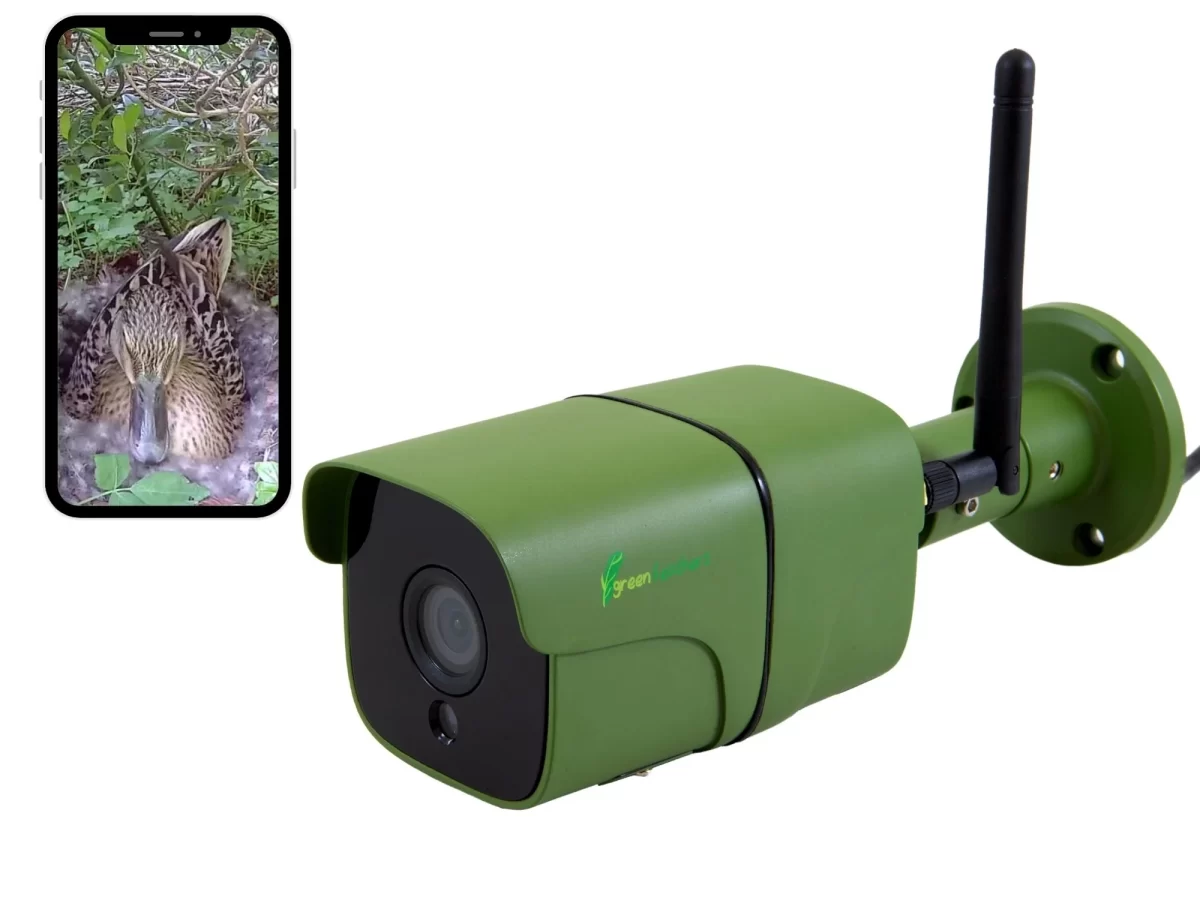 Caméra HD WiFi extérieure pour observer les oiseaux ou la faune – GFIP320BWF – Green Feathers
