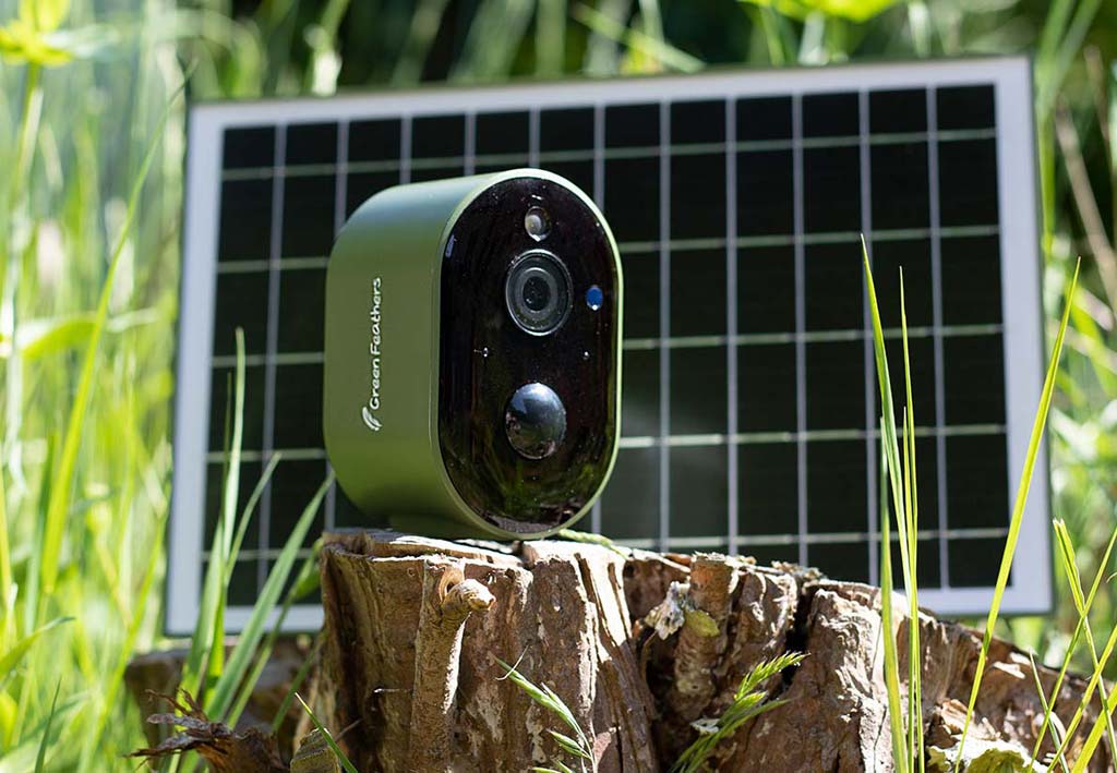 Caméra HD WiFi à énergie solaire pour oiseaux et faune - Green
