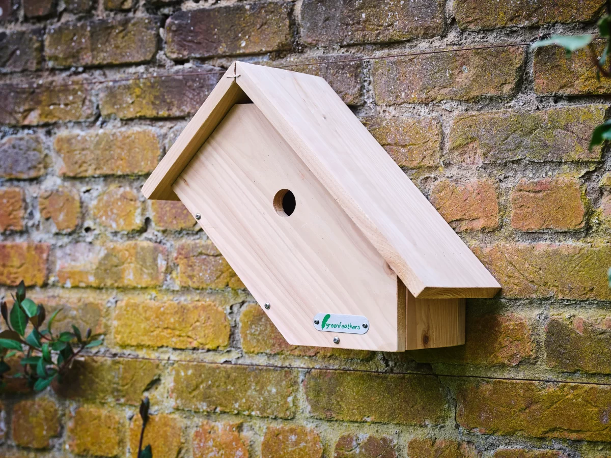 Nichoir en bois spécialement concu pour observer les oiseaux avec une caméra HD – Green Feathers