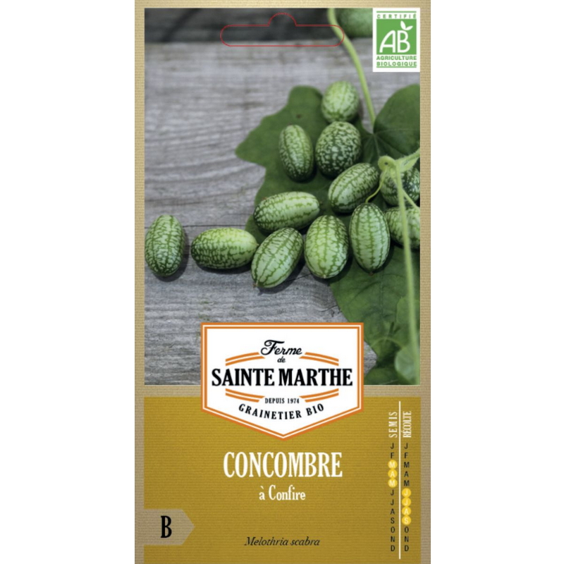 Semences-955796-concombre-a-confire-ab-Ferme-de-Sainte-Marthe