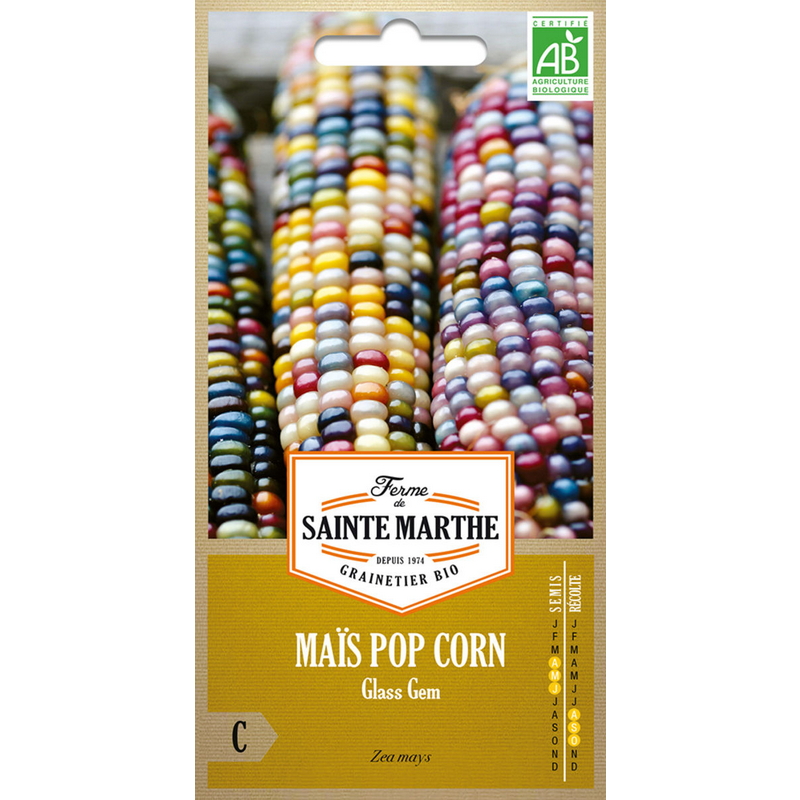 Semences-955798-Maïs Pop-Corn Glass Gem Bio 6 gr – Ferme de Sainte Marthe