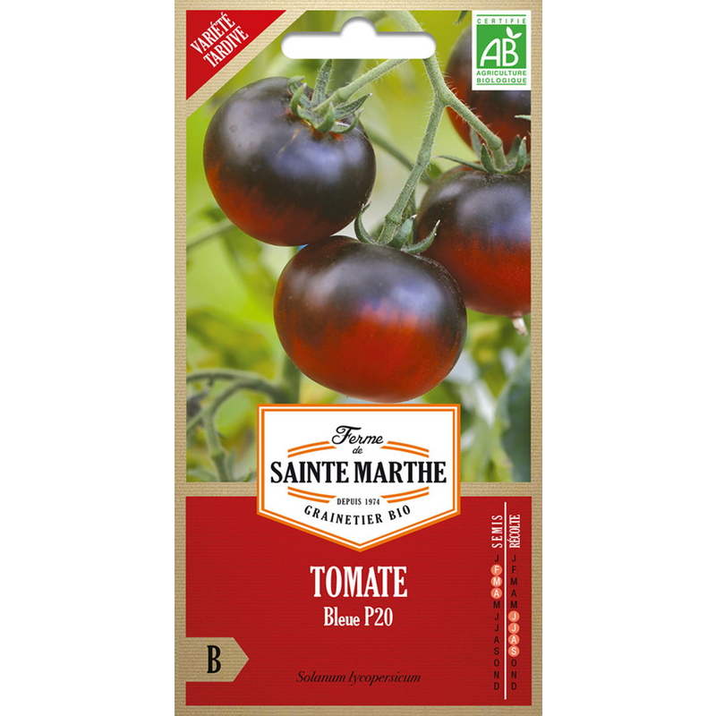 Semences-955800-tomate-bleue-p20-ab-Ferme-de-Sainte-Marthe
