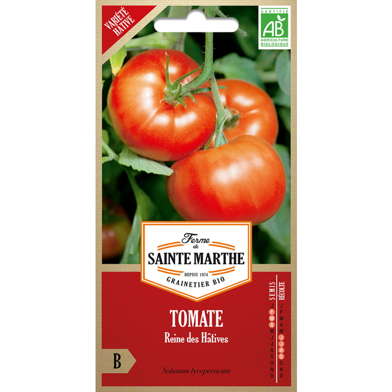 Semences-955801-tomate-reine-des-hatives-ab-Ferme-de-Sainte-Marthe