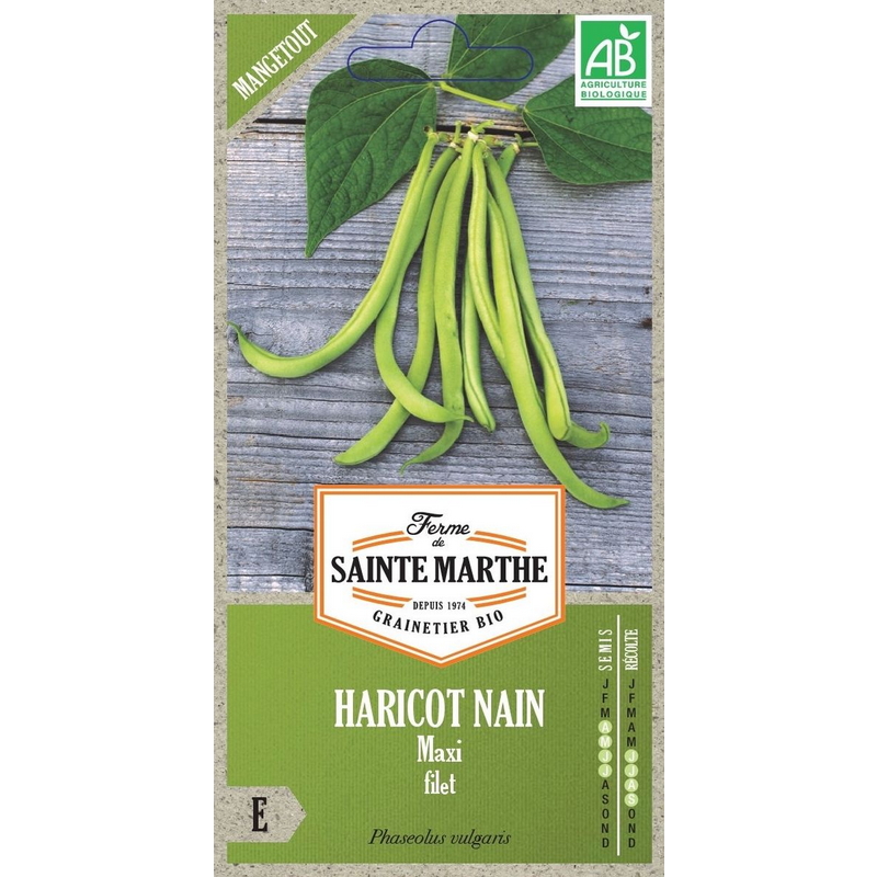 Semences-957058-haricot-nain-maxi-filet-mangetout-ab-Ferme-de-Sainte-Marthe