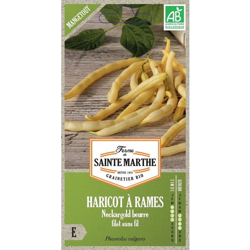 Semences-957064-haricot-a-rames-neckargold-beurre-filet-sans-fil-ab-Ferme-de-Sainte-Marthe