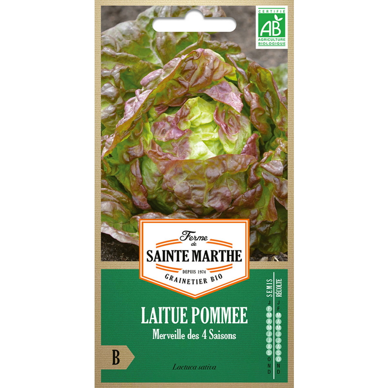 Semences-957339-laitue-pommee-merveille-des-4-saisons-ab-Ferme-de-Sainte-Marthe