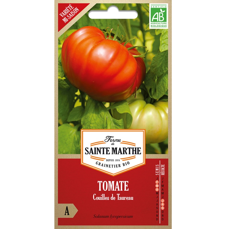 Semences – Tomate Couilles de Taureau Bio – 50 graines – Ferme de Sainte Marthe
