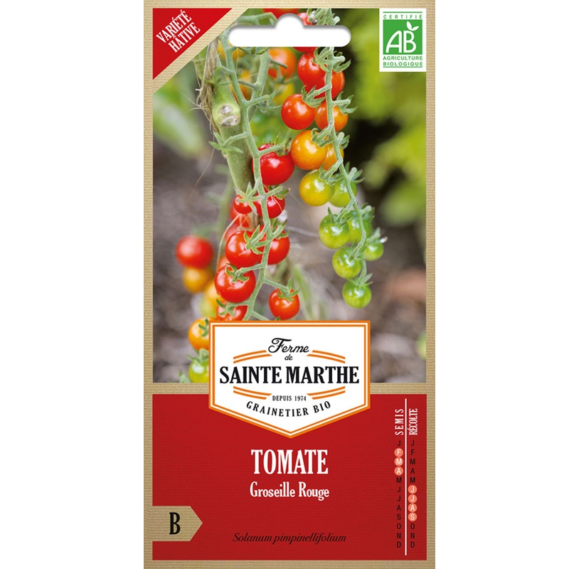 Semences – Tomate Groseille Rouge Bio – 50 graines – Ferme de Sainte Marthe