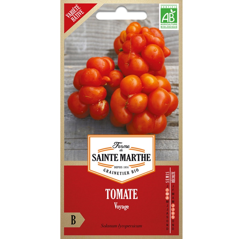 Semences – Tomate Voyage Bio – 50 graines – Ferme de Sainte Marthe