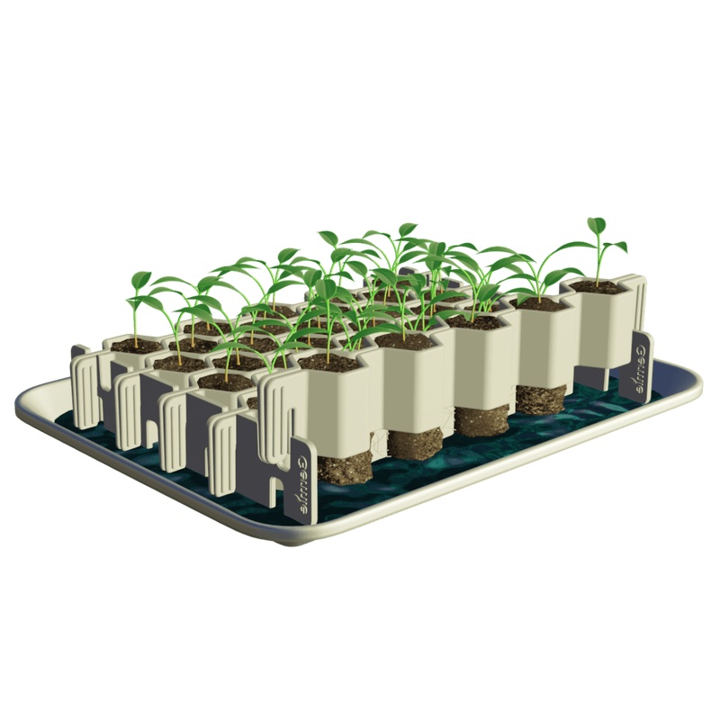 Kit de germination pour 41 plants – Taille S – Germie