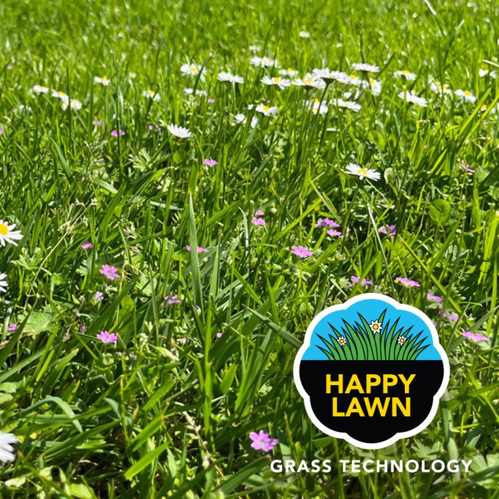 Semences – Gazon fleuri – Happy Lawn 500 gr – 25 m² – Barenbrug paquerettes