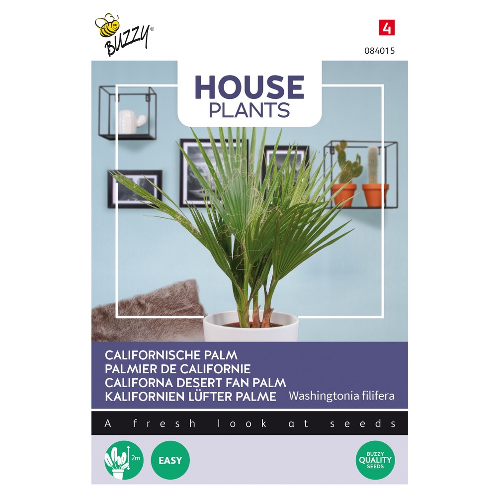 Semences – Palmier de Californie – Washingtonia filifera – 1 gr – Buzzy