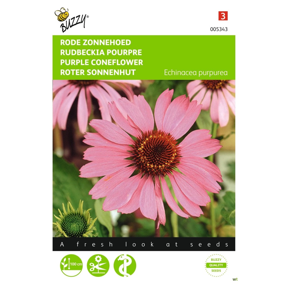 Semences – Rudbeckia Vivace – Echinacea purpurea – 0,5 gr – Buzzy