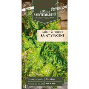 Graines - Laitue Saint Vincent bio - 500 graines - Ferme de Sainte Marthe