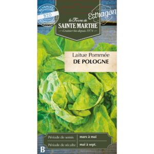 Graines - Laitue Pommée de Pologne bio - 500 graines - Ferme de Sainte Marthe