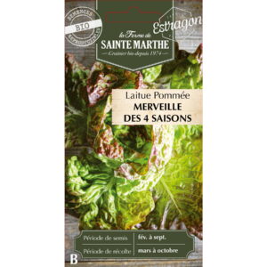 Graines - Laitue Pommée Merveille des 4 Saisons Bio - 500 graines - Ferme de Sainte Marthe