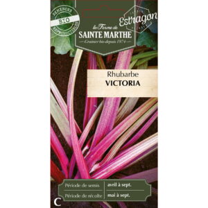 Graines - Rhubarbe Géante Victoria bio - 100 graines - Ferme de Sainte Marthe