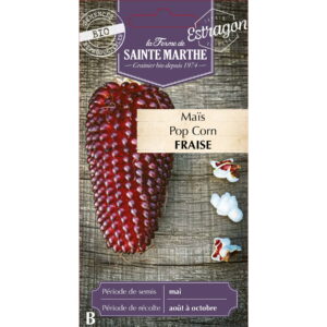 Graines - Maïs Pop-Corn Fraise bio - 50 graines - Ferme de Sainte Marthe