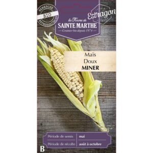 Graines - Maïs Doux miner bio - 50 graines - Ferme de Sainte Marthe