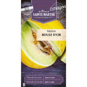 Graines - Melon Boule d'or bio - 15 graines - Ferme de Sainte Marthe