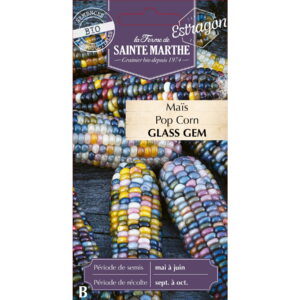 Graines - Maïs Pop Corn Glass Gem Bio - 50 graines - Ferme de Sainte Marthe