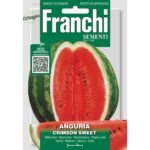 8012450700029 - DBO3-6 - Graines - Pasteque douce pourpre - Anguria crimson sweet - 5 gr - Franchi