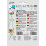 8012450700067 - DBO5-1 - Graines - Asperge Argenteuil - Asparago Argenteuil - 2,5 gr - Franchi -V