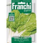 8012450700135 - DBO14-2 - Graines - Poiree tige claire de lion - Bietola da costa bionda di lione 2 - 8 gr - Franchi