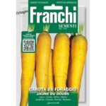 8012450700333 - DBO23-40 - Graines - Carotte fourragere jaune du Doubs - Carota da foraggio jaune du Doubs - 9 gr - Franchi