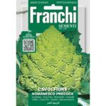 8012450700425 - DBO30-51 - Graines - Chou-fleur romain precoce - Cavolfiore romanesco precoce - 3,2 gr - Franchi