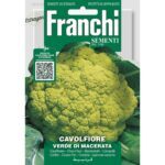 8012450700432 - DBO30-30 - Graines - Chou-fleur vert de Macerata - Cavolfiore verde di Macerata - 3,2 gr - Franchi