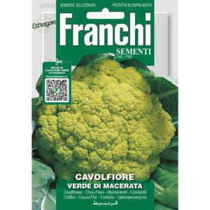 8012450700432 - DBO30-30 - Graines - Chou-fleur vert de Macerata - Cavolfiore verde di Macerata - 3,2 gr - Franchi
