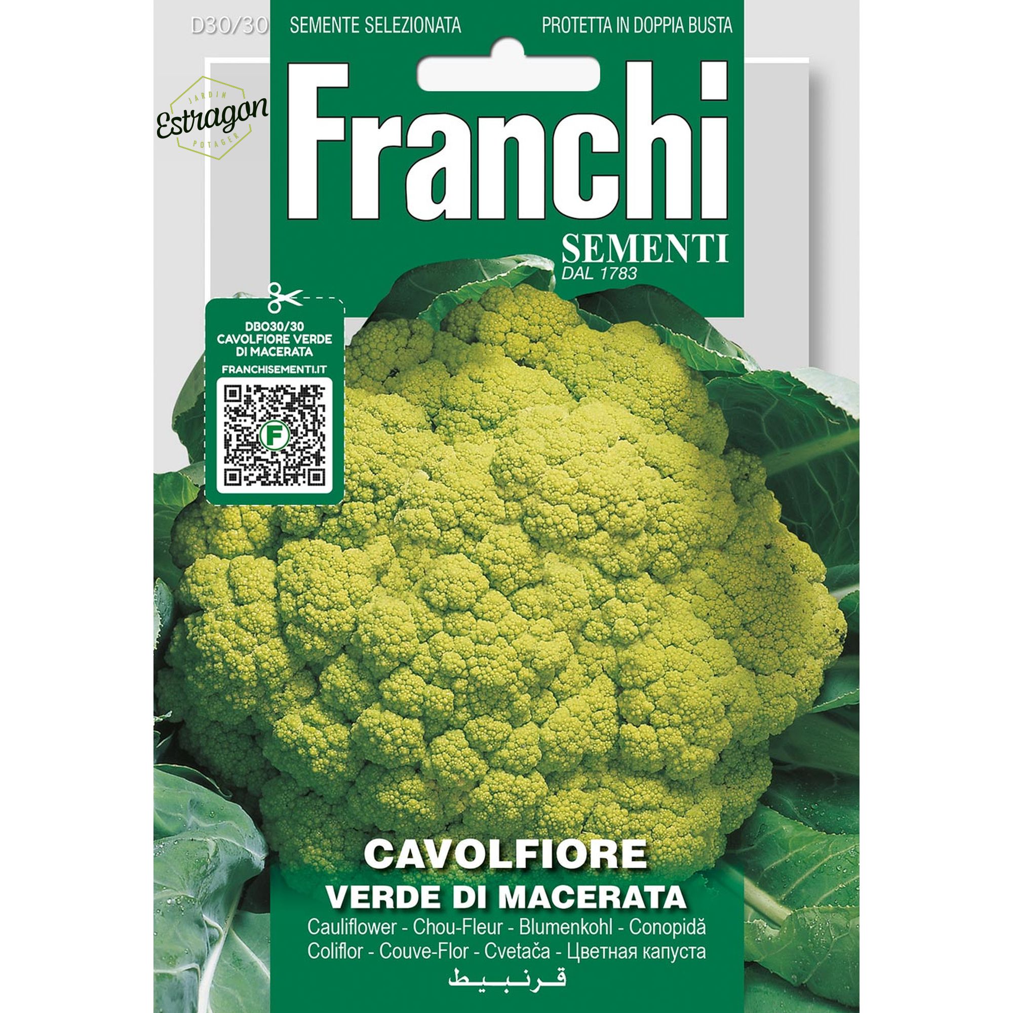 8012450700432 - DBO30-30 - Graines - Chou-fleur vert de Macerata - Cavolfiore verde di Macerata - 3,2 gr - Franchi