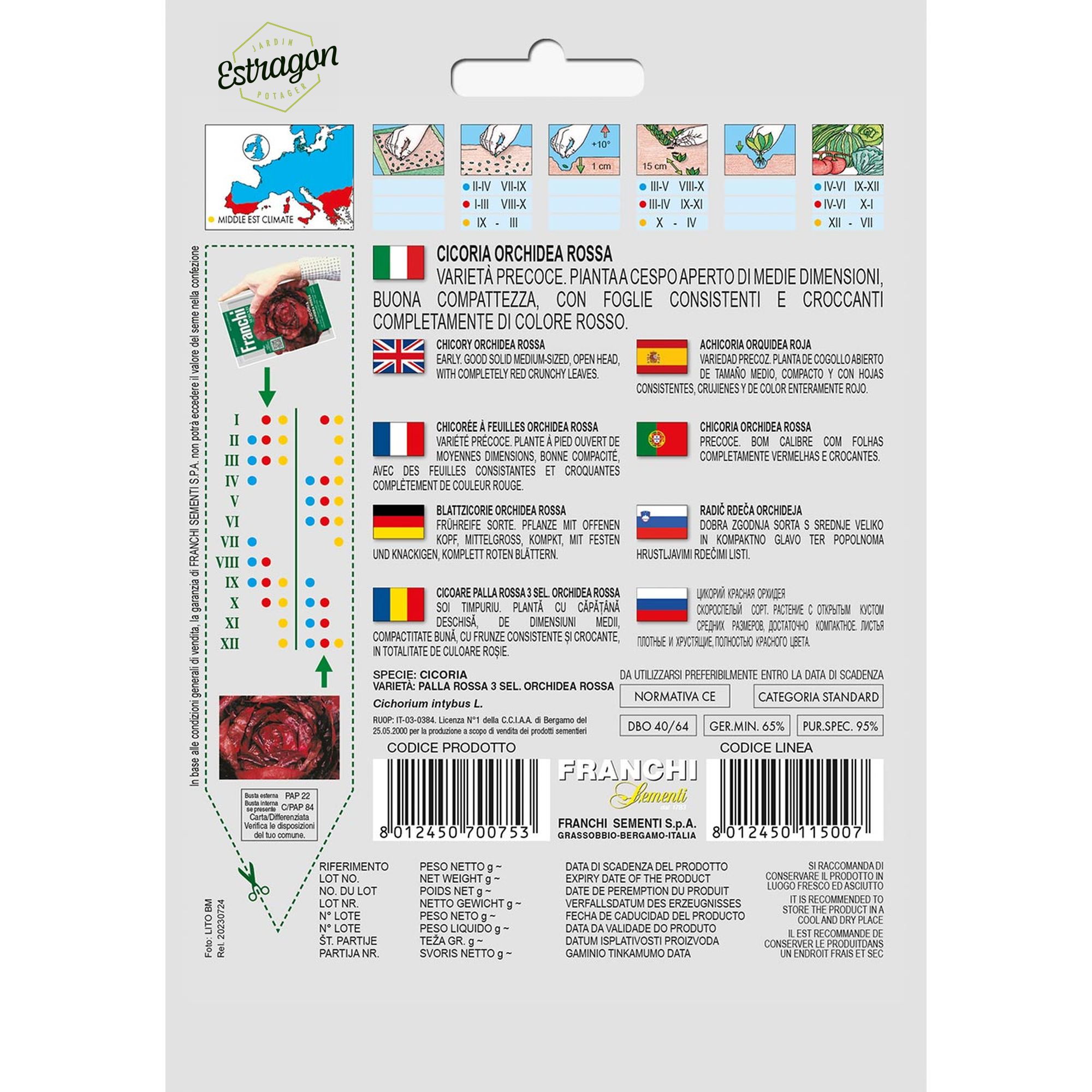 8012450700753 - DBO40-64 - Graines - Chicoree a feuilles orchidee rouge - Cicoria orchidea rossa - 12 gr - Franchi -V