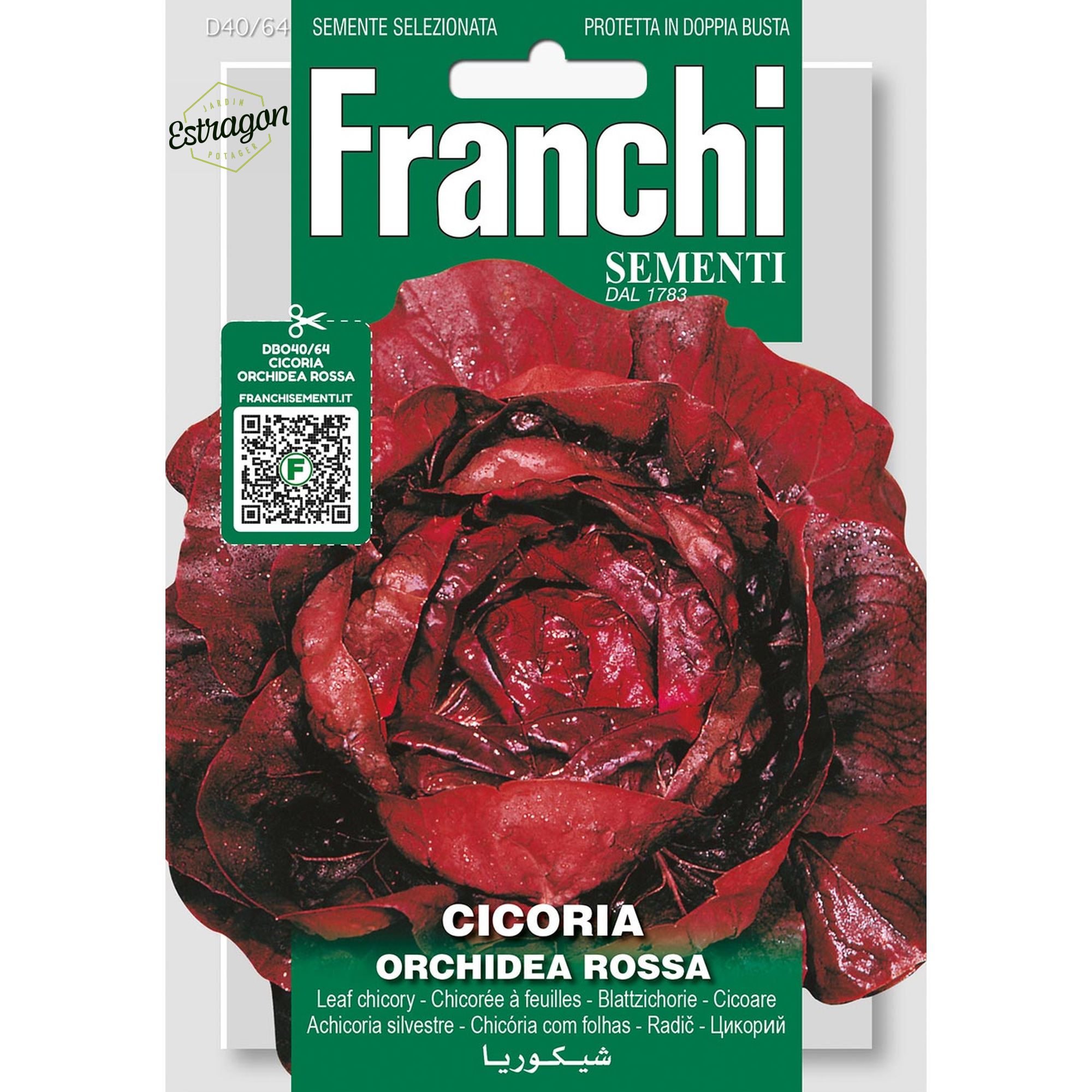 8012450700753 - DBO40-64 - Graines - Chicoree a feuilles orchidee rouge - Cicoria orchidea rossa - 12 gr - Franchi