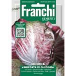 8012450700944 - DBO40-23 - Graines - Chicoree a feuilles - Cicoria Variegata di Chioggia - 12 gr - Franchi