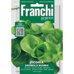 8012450700951 - DBO40-27 - Graines - Chicoree a feuilles - Cicoria grumolo bionda - 12 gr - Franchi