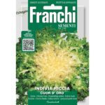 8012450701415 - DBO75-4 - Graines - Chicoree frisee - Indivia Riccia Cuor D Oro - 12 gr - Franchi