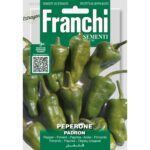 8012450702252 - DBO97-38 - Graines - Piment - Peperone Padron - 1,5 gr - Franchi