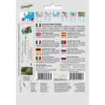 8012450703075 - DBO146-17 - Graines - Courgette ronde de Piacenza - Zucchino tondo di Piacenza - 8 gr - Franchi -V