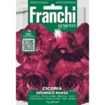 8012450706434 - DBO40-72 - Graines - Chicoree a feuilles - Cicoria Gromulo Rossa - 12 gr - Franchi