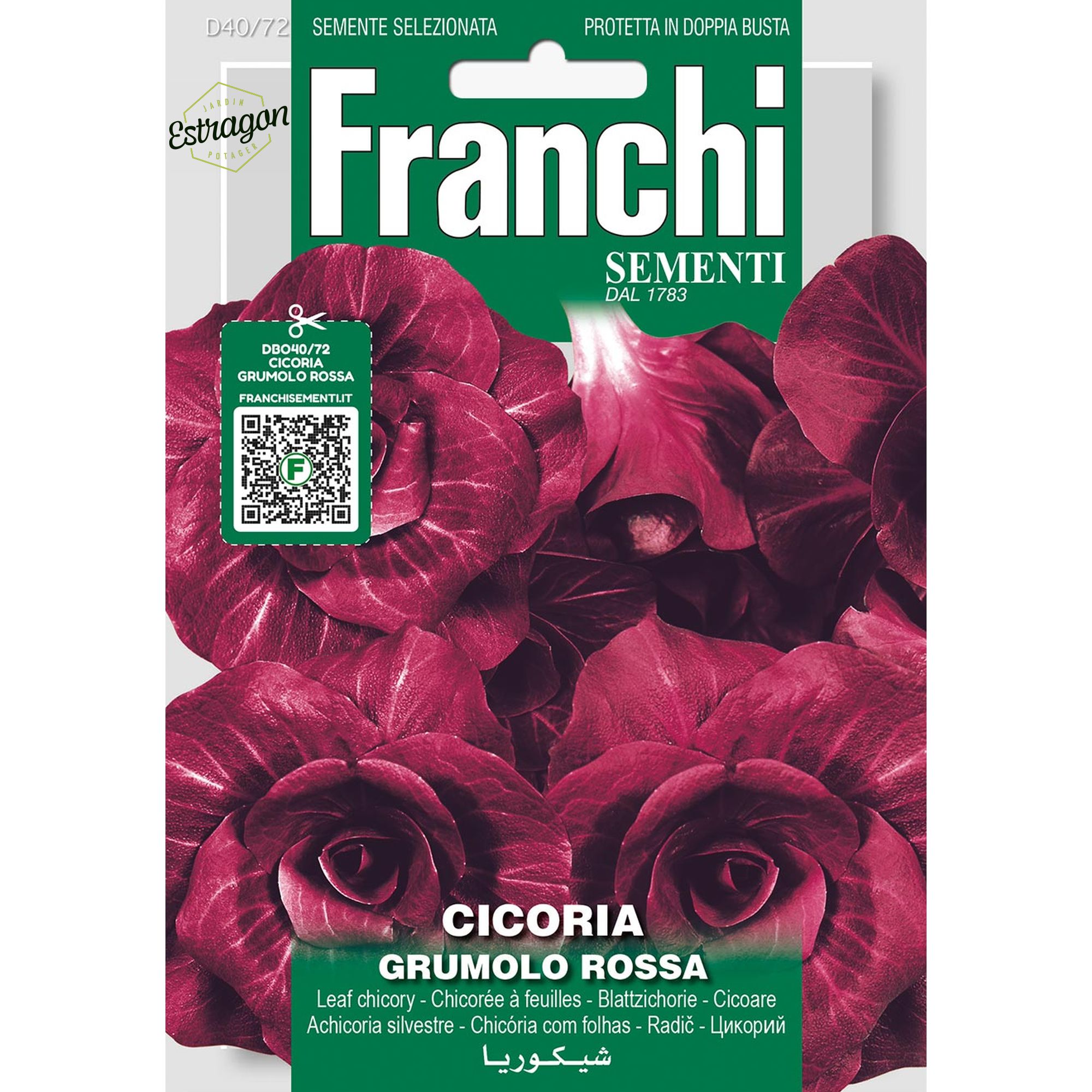 8012450706434 - DBO40-72 - Graines - Chicoree a feuilles - Cicoria Gromulo Rossa - 12 gr - Franchi
