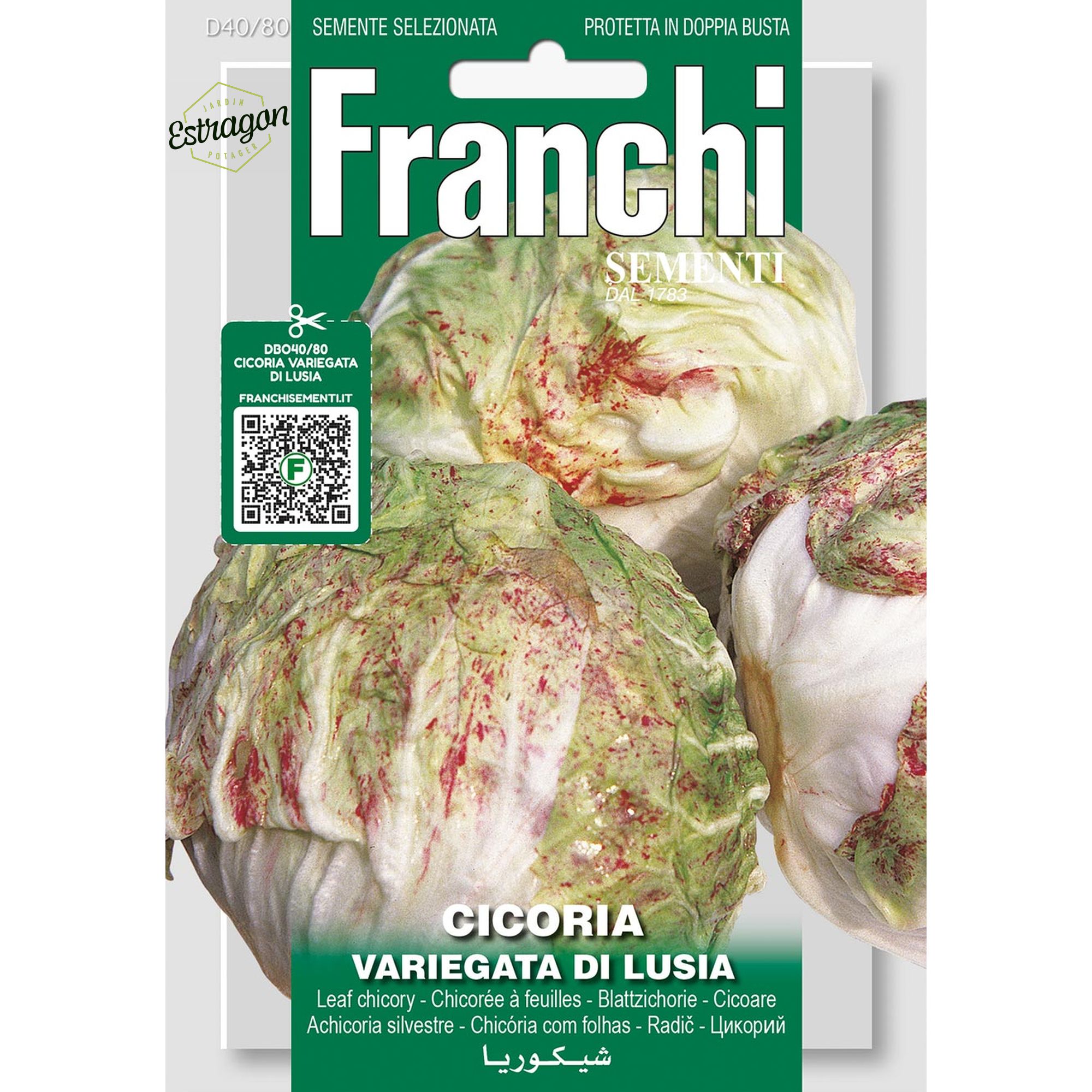 8012450707714 - DBO40-80 - Graines - Chicoree a feuilles - Cicoria Variegata Di Lusia - 12 gr - Franchi