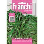 8012450715757 - DBA54-1 - Graines - Corn de cerf - Erba stella - 1,5 gr - Franchi
